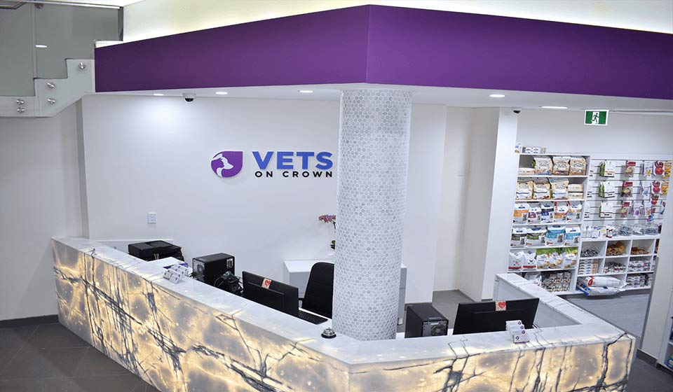Vets On Crown | Veterinary Fit-Outs | ImpeccaBuild | Surry Hills (14)