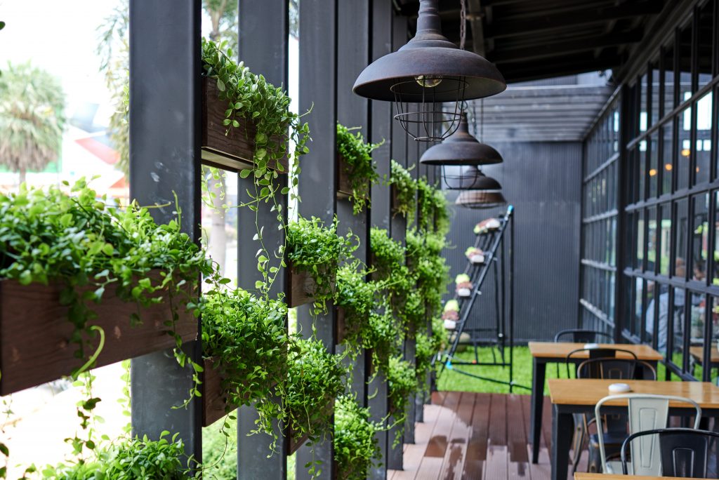 Cafe Theme Ideas | Indoor Garden Cafe Fitout | ImpeccaBuild 2