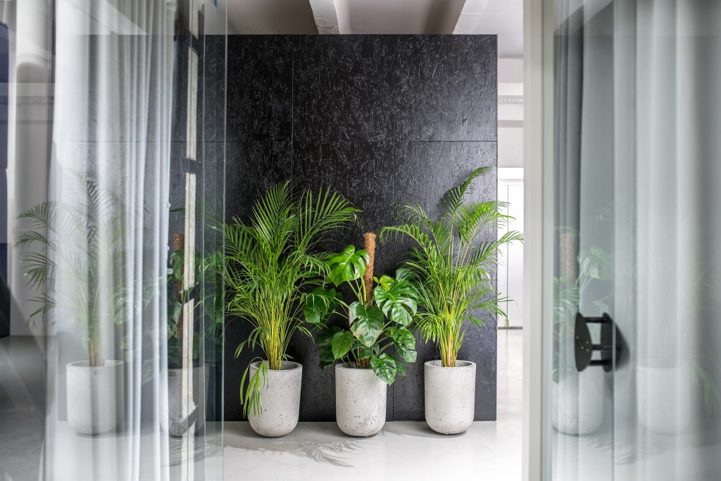 Optimising Feng Shui In The Office | ImpeccaBuild