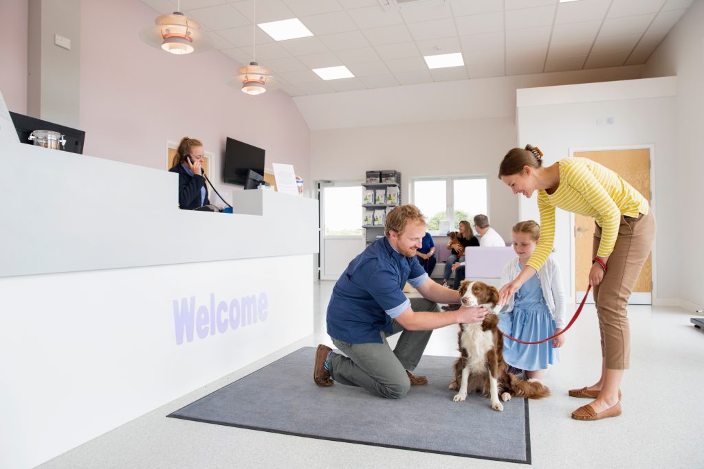 The store vet clinic