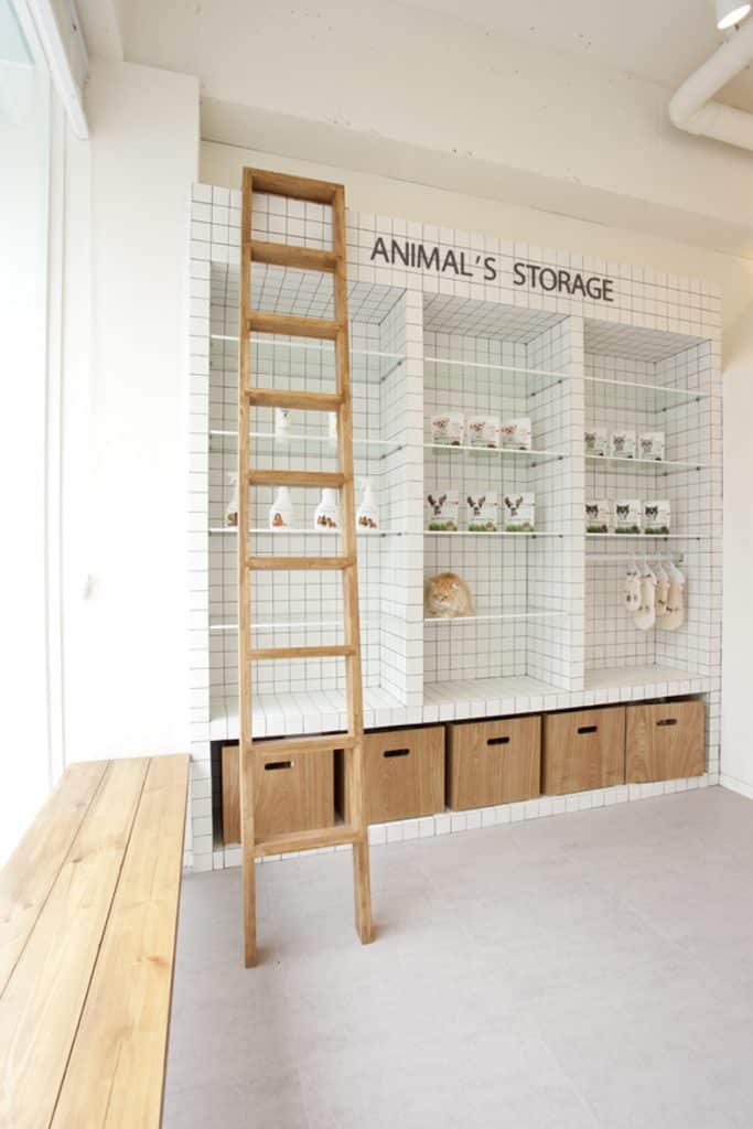 Veterinary Clinic Design Ideas | Impeccabuild